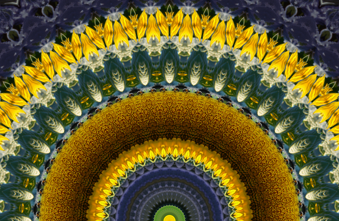 resolving the future of bees